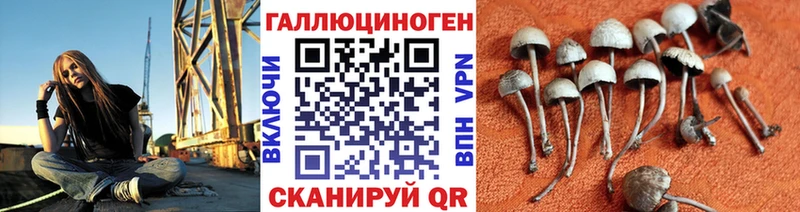 Псилоцибиновые грибы Psilocybe Россошь