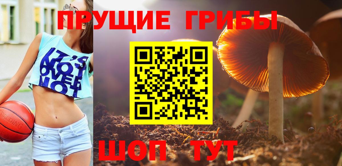 Галлюциногенные грибы Psilocybe  Вход с VPN  Россошь 