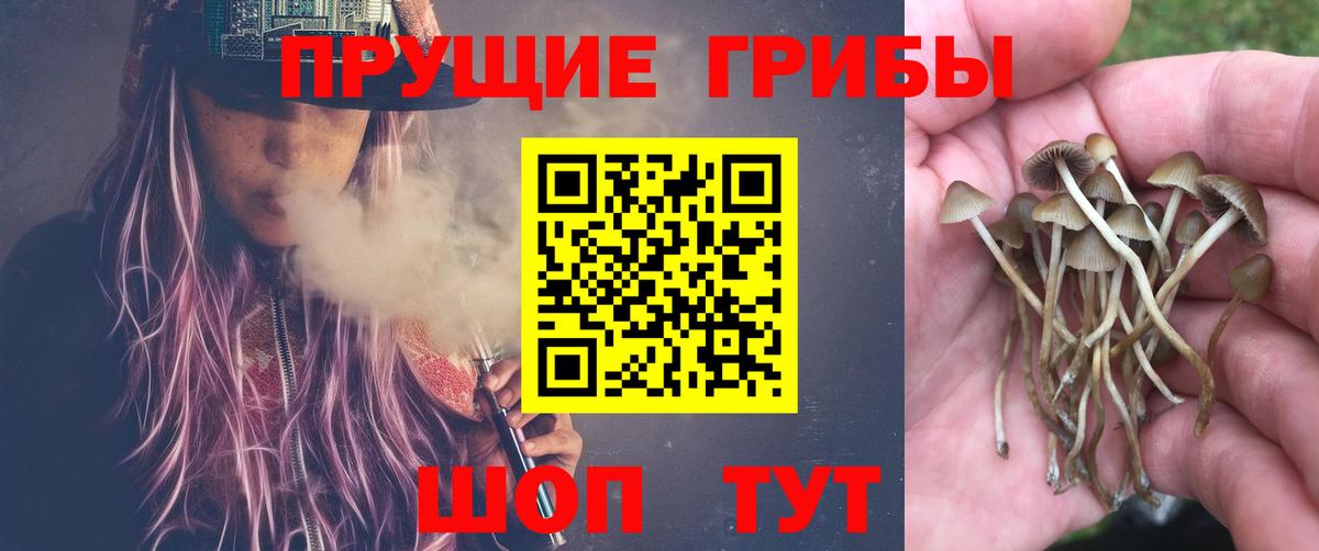 Псилоцибиновые грибы мухоморы Россошь